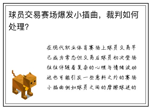 球员交易赛场爆发小插曲，裁判如何处理？